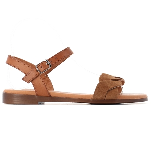 ARADOUB 15181 EVOBAR 9139:Camel