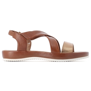JIMPRETA ARAGLOS 15183:Camel