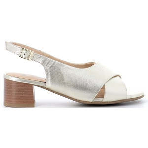 LEOPIN 2983 ARATOP 25605:Doré