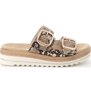 REMONTE D0Q66<br>Python