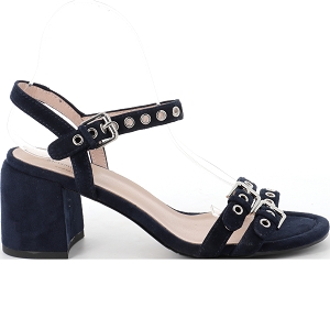 METAMORF OSE ZALLO<br>Marine