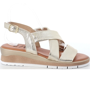 SHOUT OUT G ZEBY:Doré