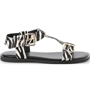 Zebre