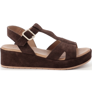 K MARY GECTOR<br>Marron