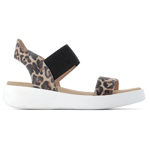 JOSSELIN CARLEO 45117:Leopard