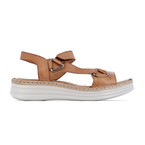 FLUCHLOV 0148 JILLICO:Camel