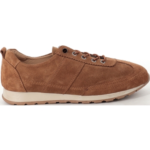 K MARY SABAR<br>Camel
