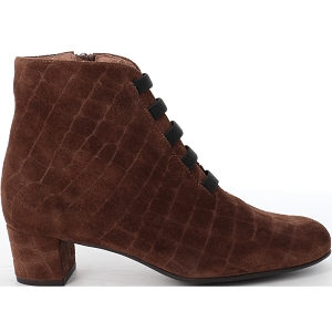 FOLIES 513@TF<br>Camel