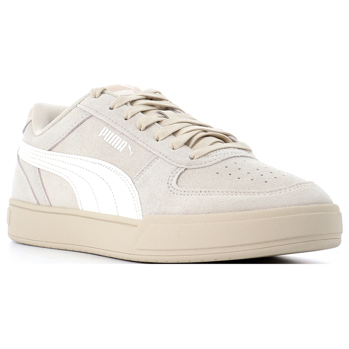 CAVEN SD Puma4234901_4