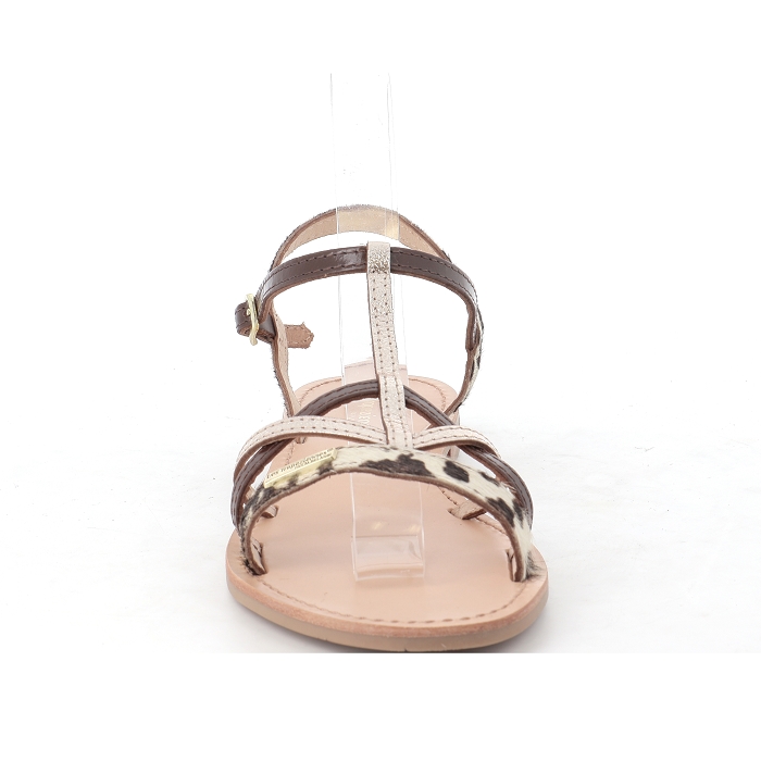  Les tropeziennes4459802_3