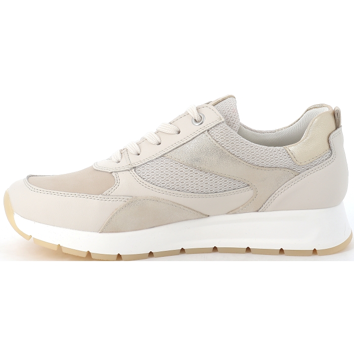 D2G11 Remonte4491501_2