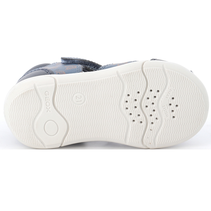 ZAPITO B556EC Geox4497501_5