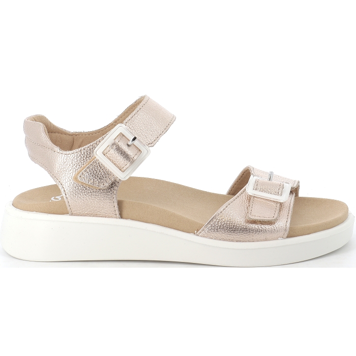 21402 MADEIRA-S  Ara