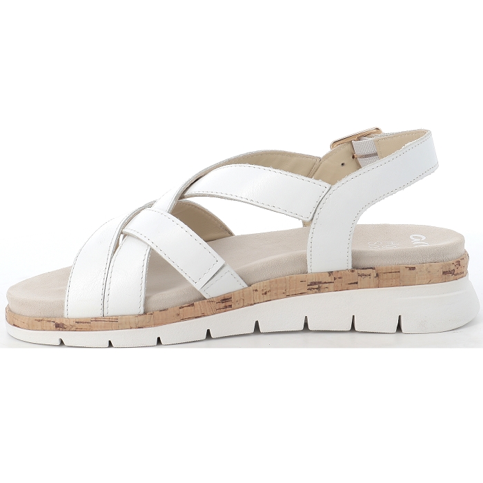 26508 CAMBRIDGE S  Ara4522001_2