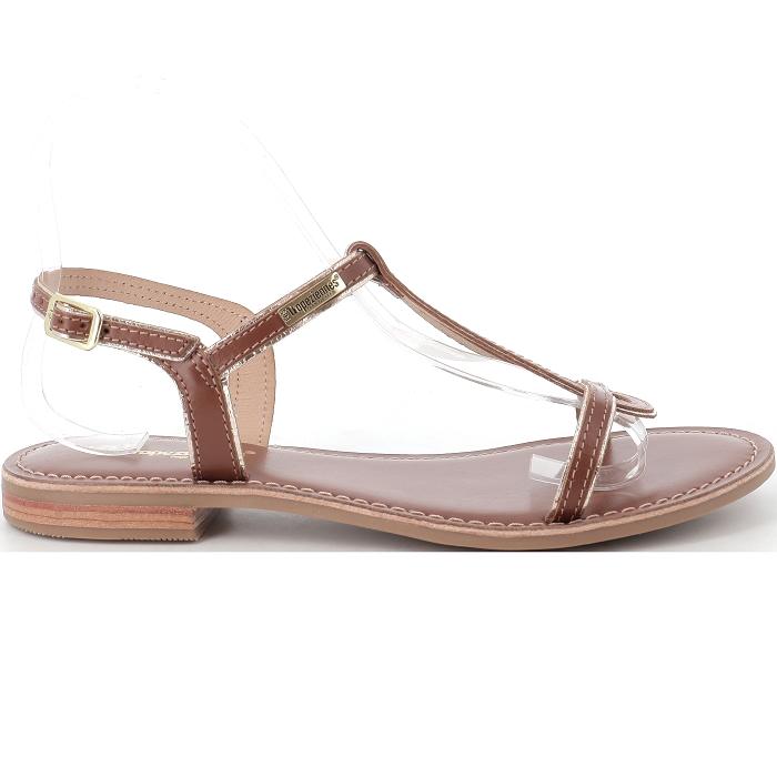 HAMATRIO Les tropeziennes