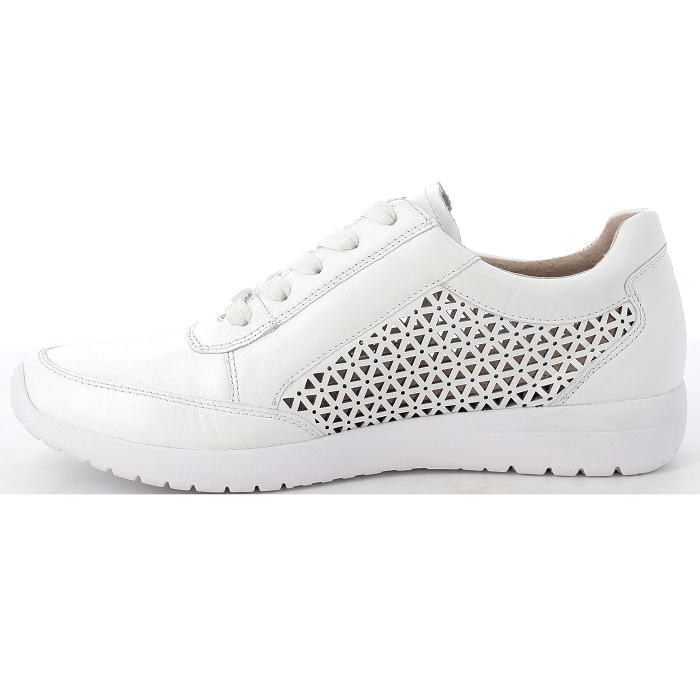 23550 Caprice4536401_2