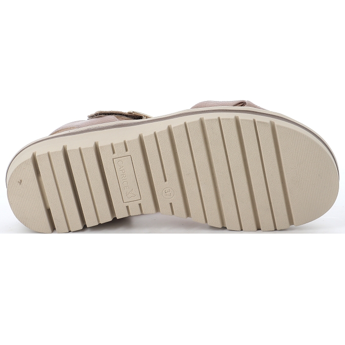 28750 Caprice4536801_5