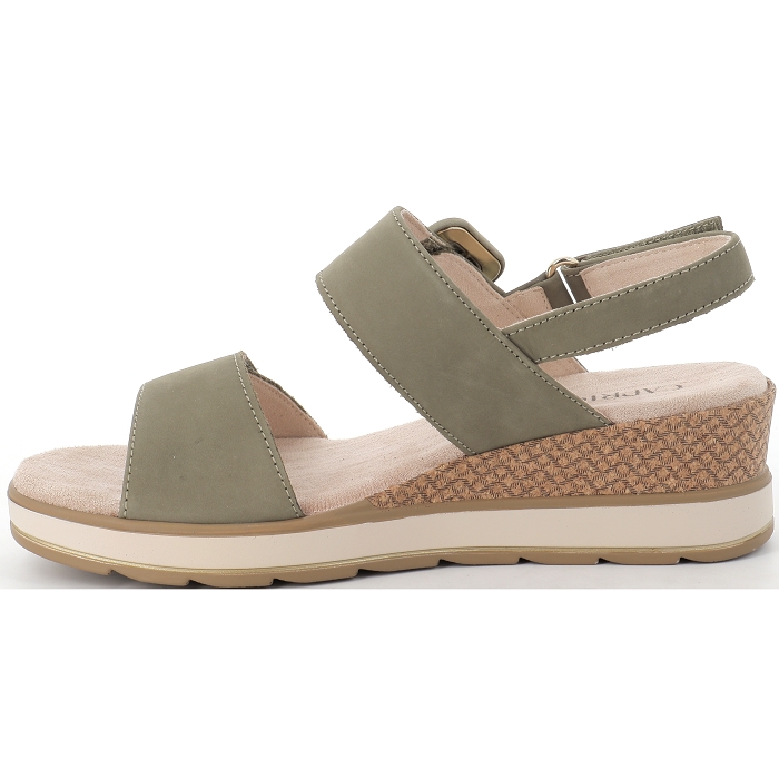 28753 Caprice4536901_2