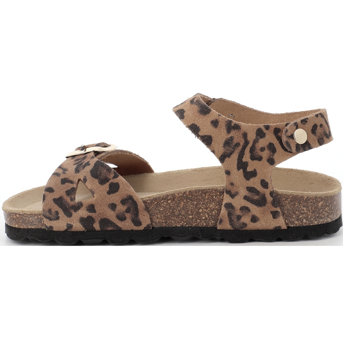 PENUM 3104 Les p tits zelus4539501_2