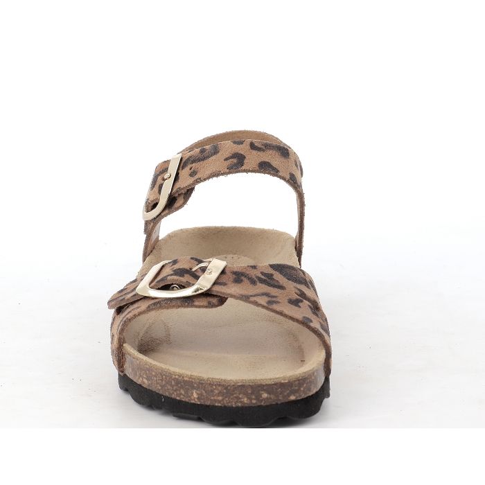 PENUM 3104 Les p tits zelus4539501_3