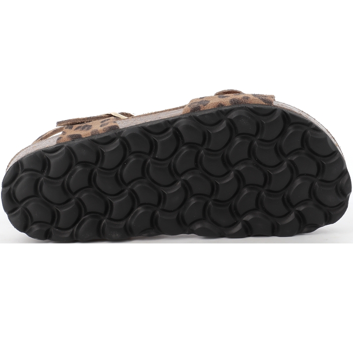 PENUM 3104 Les p tits zelus4539501_5